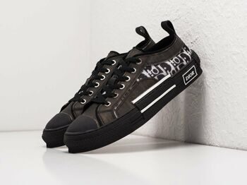 Кроссовки Dior B23 Low