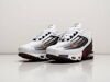 Кроссовки Nike Air Max Plus 3